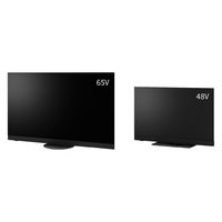 Panasonic パナソニック 4K有機ELビエラ 48V型 TV-48Z90B 1台（直送品）
