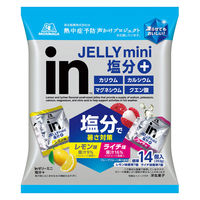 inゼリー（インゼリー） ミニ 塩分＋　1セット（1袋（14個入）×2）　レモン味・ライチ味 2種アソート　塩分プラス