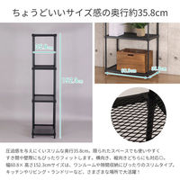 エイ・アイ・エス エキスパンドラック4段 2台セット 幅608×奥行358×高さ1523mm ブラック 1セット(2台入)（直送品）