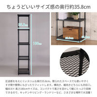 エイ・アイ・エス エキスパンドラック5段 2台セット 幅608×奥行358×高さ1800mm ブラック 1セット(2台入)（直送品）