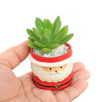 チャーム (多肉植物)おまかせプチ多肉 クリスマス 鉢色おまかせ(1鉢) 349021 1鉢（直送品）