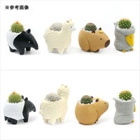 チャーム (多肉植物)おまかせプチサボテン 癒しアニマル 鉢おまかせ(1鉢) 368736 1鉢（直送品）