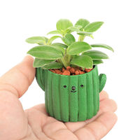 チャーム (観葉植物)おまかせミニ観葉 サボテン(1鉢) 349141 1鉢（直送品）