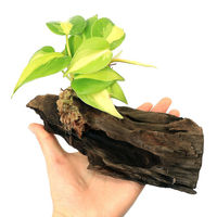 チャーム (観葉植物)テラリウム向け ミニ観葉付流木 Mサイズ(1個) 373048 1個（直送品）