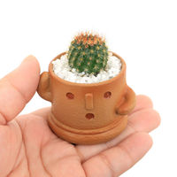 チャーム (多肉植物)おまかせプチサボテン ハニワ(1鉢) 349143 1鉢（直送品）
