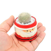 チャーム (多肉植物)おまかせプチサボテン クリスマス 鉢色おまかせ(1鉢) 349017 1鉢（直送品）