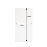 今村紙工 OPP袋（テープなし） 長形3号用 フタなし 透明封筒 1セット（1袋（100枚入）×5） OPP30-N3