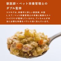 ココモグ グレインフリー チキン＆かつお 無添加 40g 1個 バイオフィリア ドッグフード 犬 ウェット パウチ