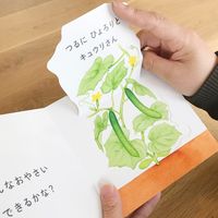 コクヨ 絵本 いろんなおやさいどこになる？ 1冊 KE-WC59