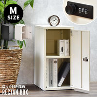 【軒先渡し】B.Bファニシング ロック付き収納 レクタンボックスM 幅300×奥行360×高さ600mm ブラック 1台（直送品）