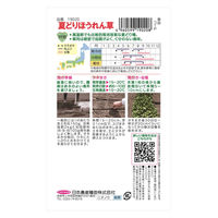 日本農産種苗 夏どりほうれん草 4960599190208 1セット(5袋入)（直送品）