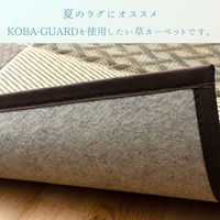 イケヒコ DXモダンチェック い草カーペット 1740×2610mm ブラウン 1030400060302 1枚（直送品）