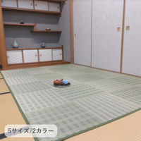 イケヒコ ピース い草カーペット 1910×1910mm ブラウン 1030890061002 1枚（直送品）