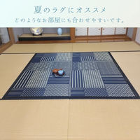 イケヒコ メトロ い草カーペット 2610×2610mm ブラック 1030940030402 1枚（直送品）