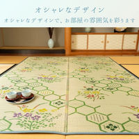 イケヒコ 源流 い草ラグ 870×1740mm グリーン 1031030120102 1枚（直送品）