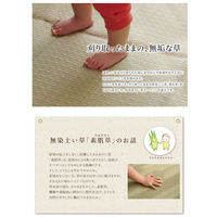 イケヒコ MUKU い草ラグ 1400×1400mm デニム 1051190322003 1枚（直送品）