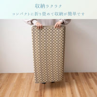 イケヒコ アルマ 畳カーペット 2610×3520mm グレー 1090000001202 1枚（直送品）