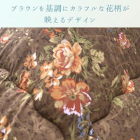 イケヒコ イシス ブラウン 205×205cm 1160410060103 1個（直送品）