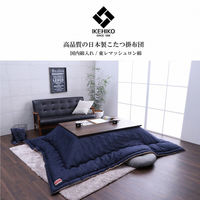 イケヒコ ブランシェ ネイビー 190×240cm 1160590190903 1個（直送品）