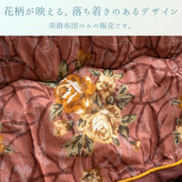 イケヒコ プラーナ エンジ 205×315cm 1161040110403 1個（直送品）