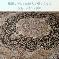 イケヒコ リーベル ラグ 1400×2000mm グリーン 1271960122101 1枚（直送品）