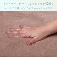 イケヒコ ウイン カーペット 1800×1800mm ブラウン 1281151061203 1枚（直送品）