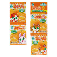 小袋 お配り菓子 みかんグミ 20g×4袋 1セット(1個×5)