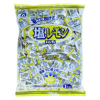 一貫堂 桃太郎製菓 1kg 塩レモンキャンディ 1セット(1個×3)