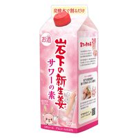 岩下の新生姜サワーの素 500ml 1セット（6本）　清洲桜醸造 リキュール