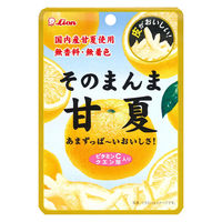 ドライフルール 食べきりサイズ そのまんま甘夏 1セット（1個×12）