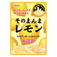 ドライフルール 食べきりサイズ そのまんまレモン 1セット（1個×12）