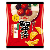 ポテトチップス 食べきりサイズ 堅あげポテト 梅味 60g 1セット（1個×12）