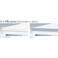 トラスコ中山 TRUSCO CVAカウンター W1200ローカウンター グレー CVA-127LSO-G 1台 454-0514（直送品）