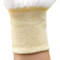 トラスコ中山 TRUSCO 使い捨てインナー手袋 10双組 フリーサイズ DUG-10 1組(10双) 207-2782（直送品）