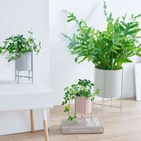 杉田エース CLOVER アイアンプランターw/スタンド グリーン Φ11.5 CYF957130 1個（直送品）