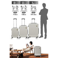 超軽量・ストッパー付Wキャスター・物掛けフック【NT-GB0701 Plus 】 NT-GB0701 Plusオートミールグレー M 1台（直送品）