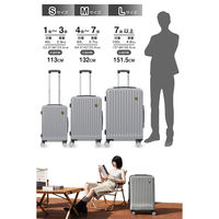 超軽量・ストッパー付Wキャスター・物掛けフック【NT-GB0701 Plus 】 NT-GB0701 Plusグレー S 1台（直送品）