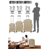 超軽量・ストッパー付Wキャスター・物掛けフック【NT-GB0701 Plus 】 NT-GB0701 Plusゴールド S 1台（直送品）