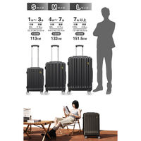 超軽量・ストッパー付Wキャスター・物掛けフック【NT-GB0701 Plus 】 NT-GB0701 Plusブラック S 1台（直送品）