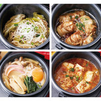 D&S コンパクトライス&フードクッカー DS.8700 1個（直送品）