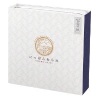 大阪前田製菓 にっぽんあられ NJ-20 1個（直送品）