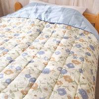 イチブン 抗菌防臭わた(東レ・セベリス)入キルト肌掛布団2枚セット Y3110 1個（直送品）