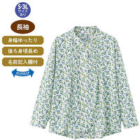 ケアファッション 長袖 斜め釦ホールピンタックブラウス ブルー LL W0182167613 1着（直送品）