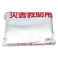 グリーンクロス 難燃性フリース毛布 10枚入 N301130 1セット(10枚)（直送品）