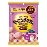 クッキー 食べきりサイズ モーニングマアム　ブルーベリー　50g 1セット(1個×20)