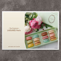 ラデュレ | The Premium 選べるブランドカタログ G （ギフトカードタイプ）　スタンダード封筒／熨斗（御中元）（直送品）