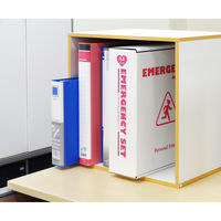 エピオス 女性防災13点セット(1セット10個入) LY30R 1セット(10個入)（直送品）