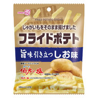 ポテトスティック 食べきりサイズ フライドポテト  しお味 1セット（1個×12）
