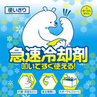 急速冷却剤 武田コーポレーション 冷却パック 冷却材 たたくと冷える アイスパック 使い捨て 携帯 冷却用品 1個