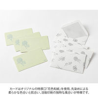 デザインフィル カードセット [名刺サイズ] 花色和紙 緑 88791006 1セット(1パック×3)（直送品）
